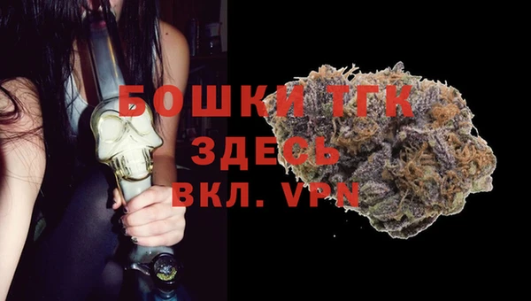 ешки Арсеньев