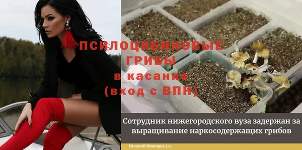 меф Богданович